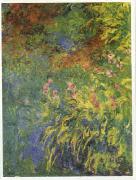 Claude Monet Irises, 1914-17 Spain oil painting artist